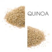 Dodaco - ingrediente - quinoa